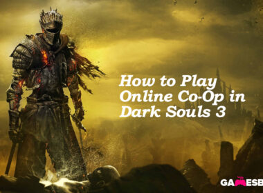 How to Play Online Co-Op in Dark Souls 3