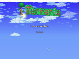 Terraria connection lost settings