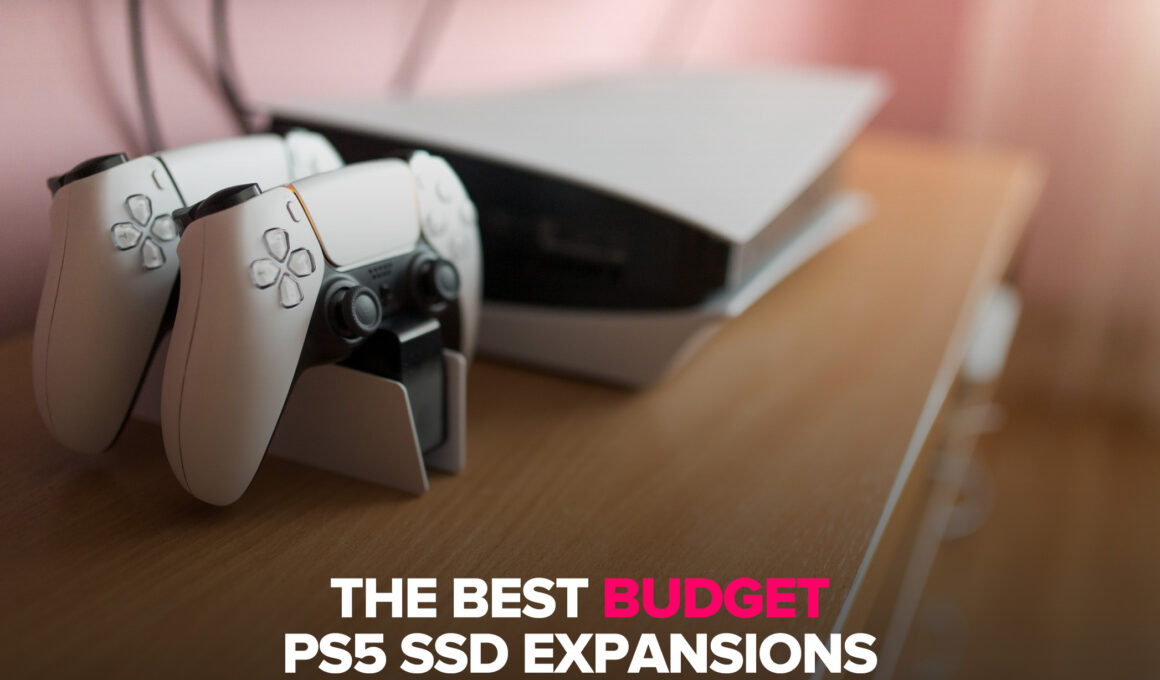 The Best Budget PS5 SSD Expansions