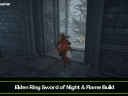 Elden Ring Sword of Night & Flame Build