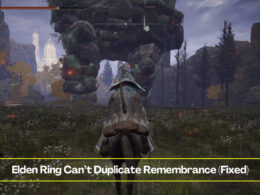 Elden Ring Can’t Duplicate Remembrance (Fixed)
