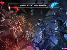 Is Path Of Exile Cross-Platform?