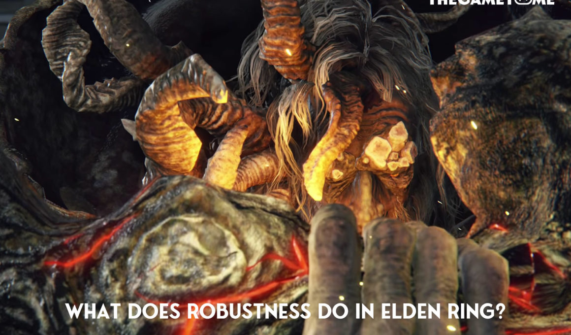 What Does Robustness Do in Elden Ring?