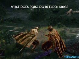 What Does poise Do in Elden Ring