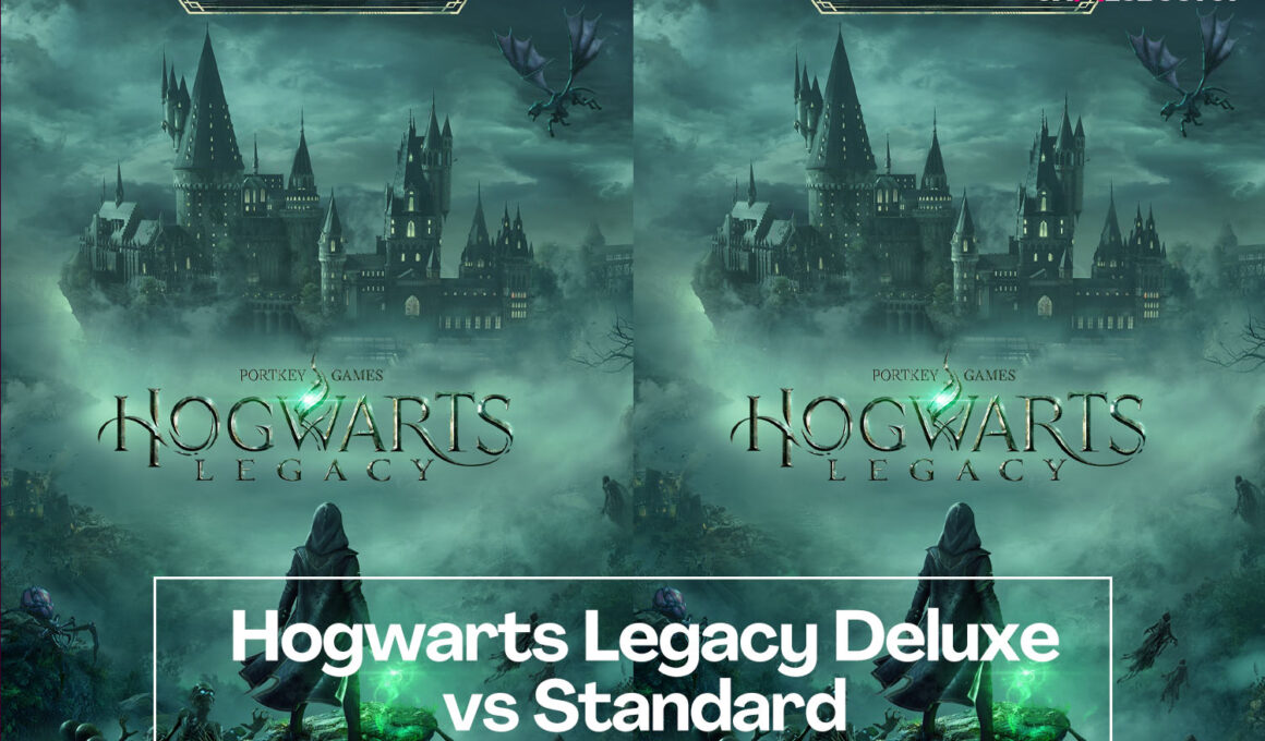 Hogwarts Legacy, Standard Edition