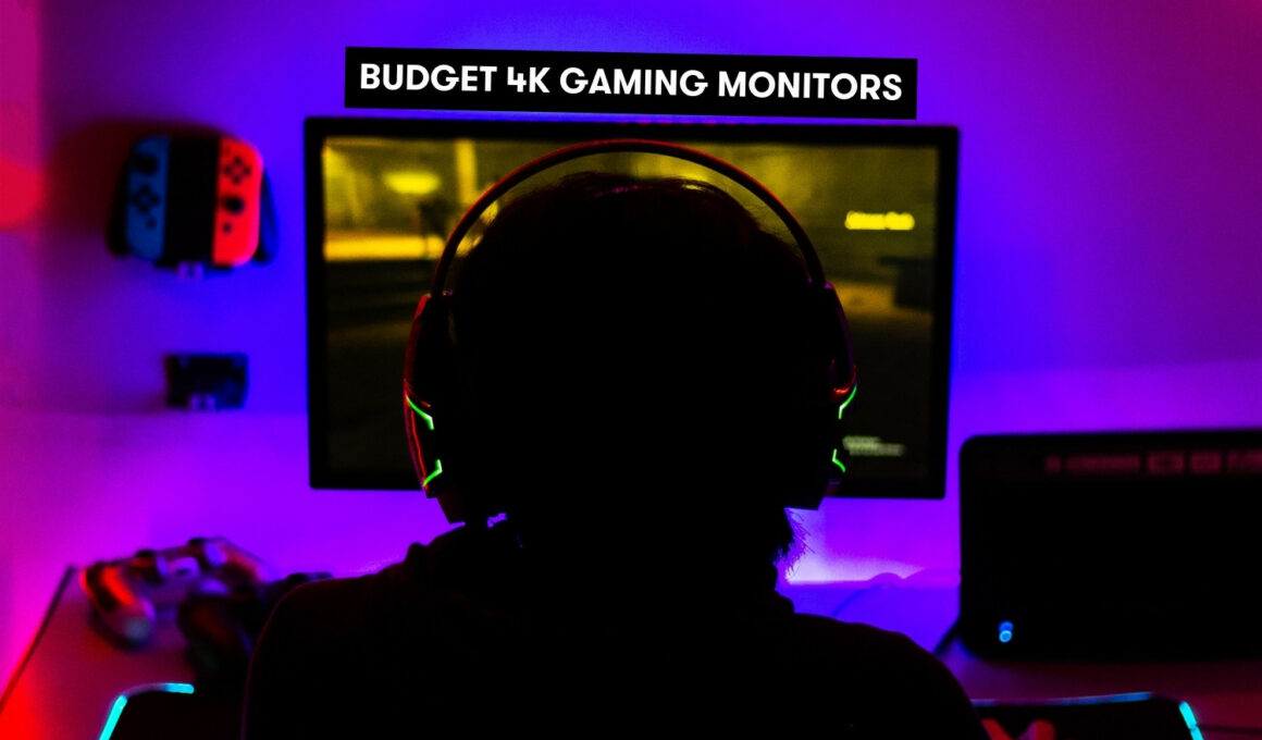 Budget 4K Gaming Monitors